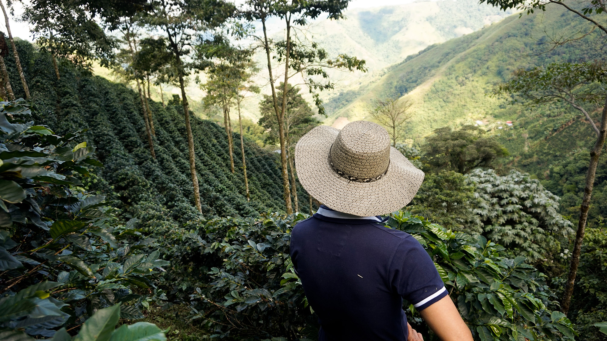 Man standing in a forest