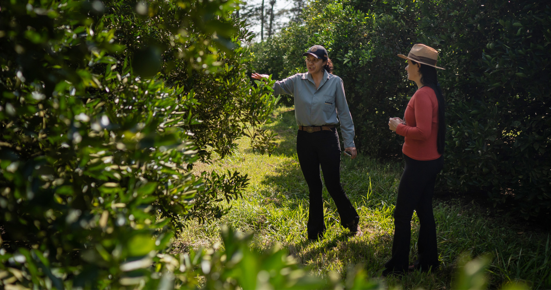 Two women in an orange grove in rural Sao Paulo state, Brazil.