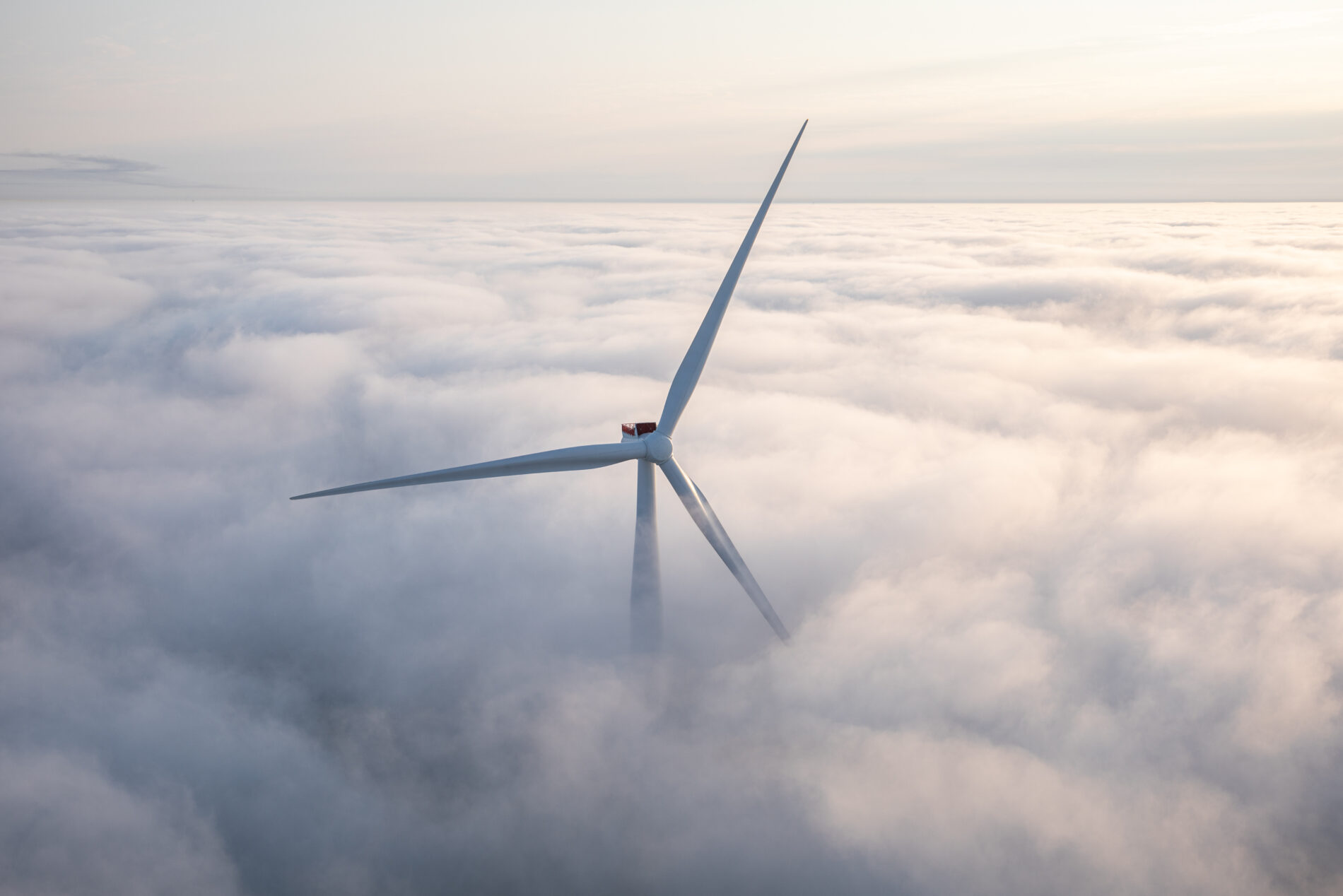 A wind turbine pokes through the crowds.